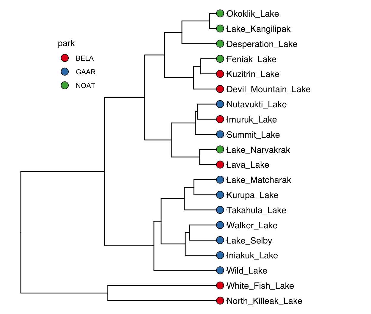 The same dendrogram, with lake names as tip labels and park identity shown on the tips. A tree diagram in which each tip is one of twenty Alaskan lakes, the tip label gives the lake name, and the fill color of the tip point gives the national park the lake sits in (BELA, GAAR or NOAT). Each join marks the merge of two groups and is positioned at the distance at which they merged. North Killeak and White Fish join only at the far right, which marks them as the two most distinctive lakes in the set. Data are the 'alaska_lake_data' dataset used in UMD CHEM5725, clustered on thirteen scaled analytes with Ward linkage.
